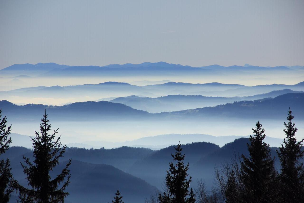 Velika Planina Chalet Slovenka Stahovica 外观 照片