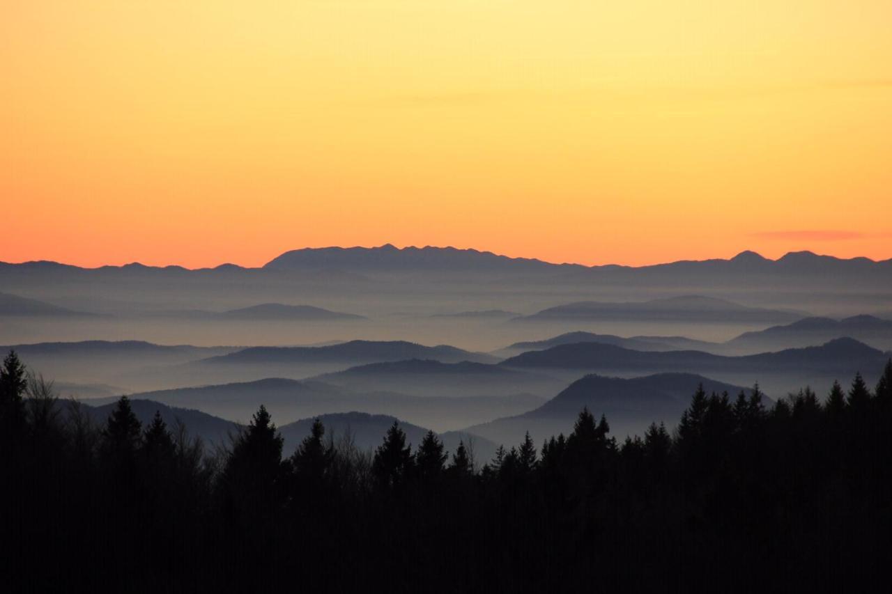 Velika Planina Chalet Slovenka Stahovica 外观 照片