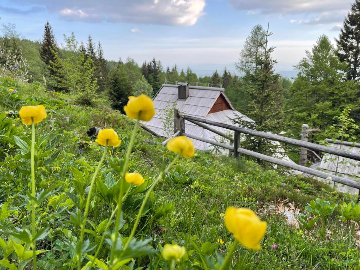 Velika Planina Chalet Slovenka Stahovica 外观 照片