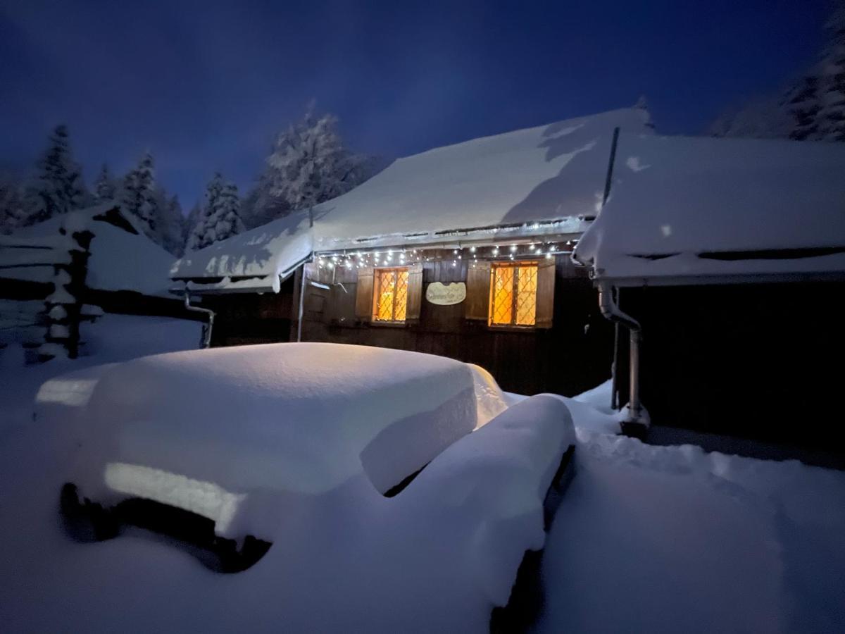 Velika Planina Chalet Slovenka Stahovica 外观 照片